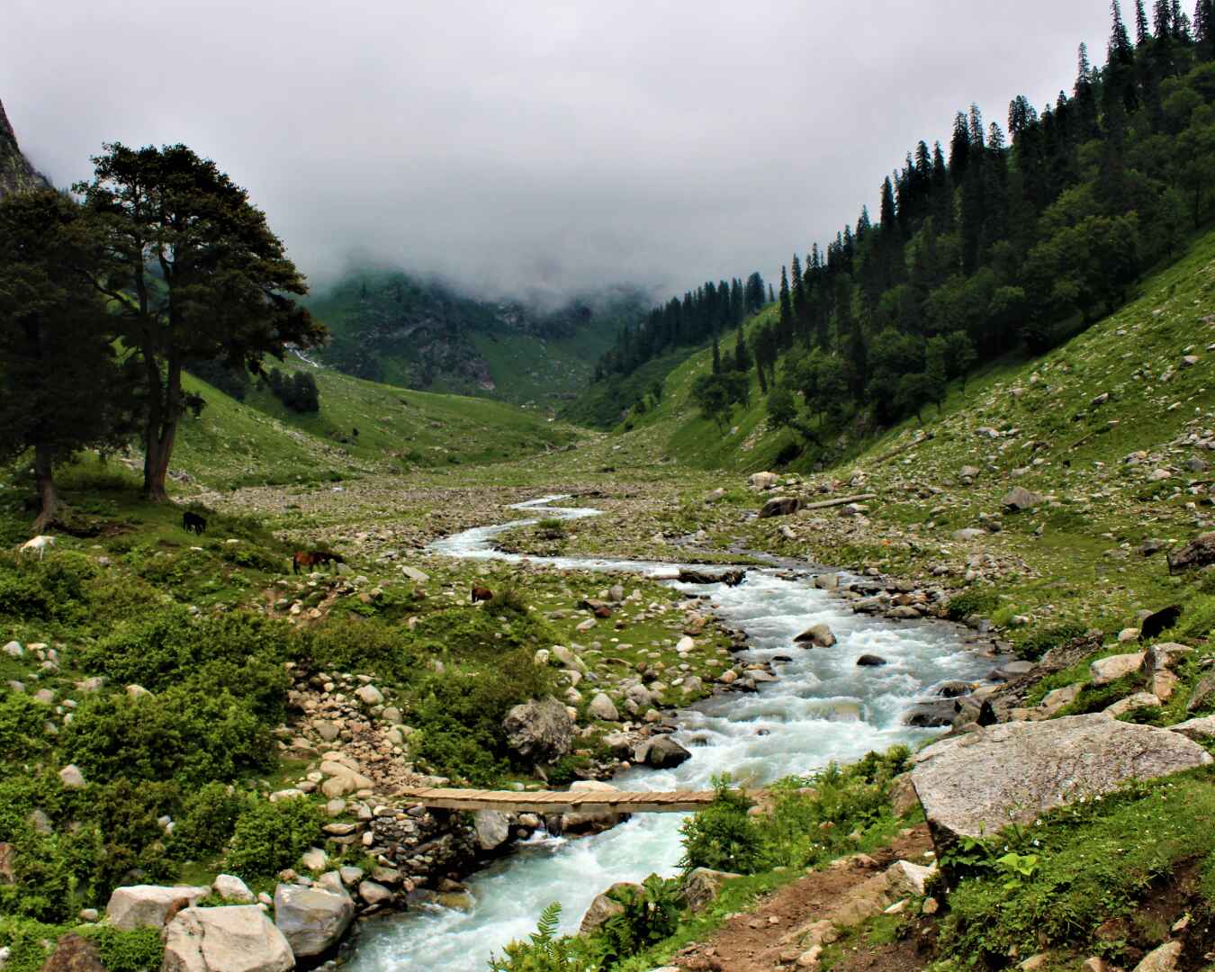 Hampta Pass